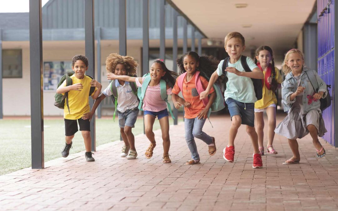 Solidarité avec la SNSM