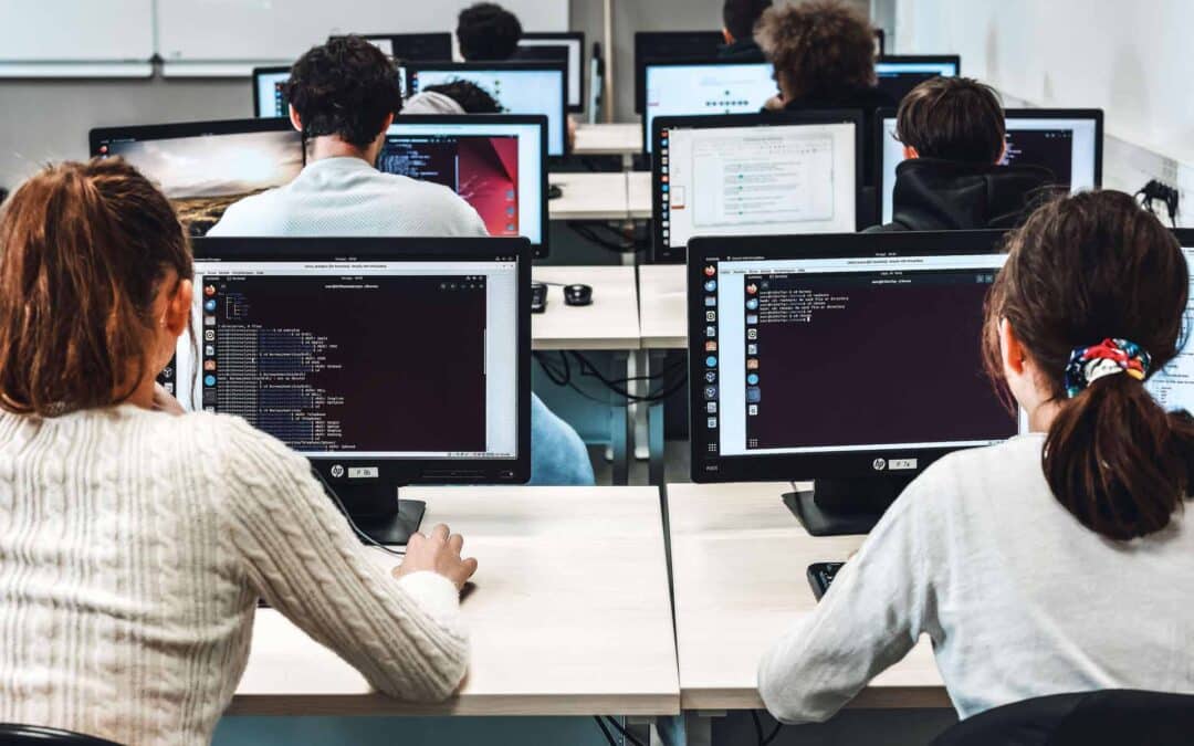 BAC PRO Cybersécurité, Informatique et réseaux, Electronique (CIEL)