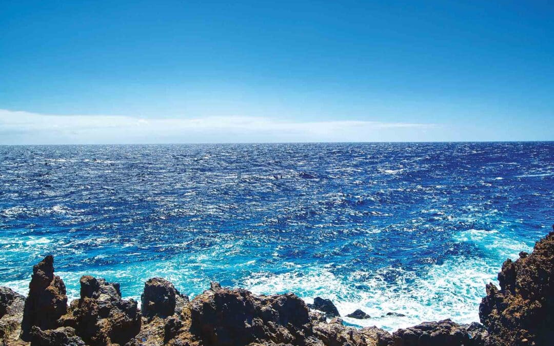 Options maritimes BIMer & CINav